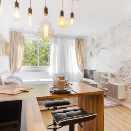 Grand Studio*victor Hugo*centre * Toulouse